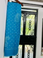 Blue Chikankari Saree - Image 3