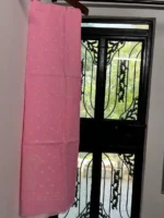 Powder Pink Chikankari Saree - Image 3